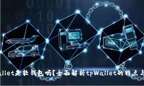 tpWallet是软钱包吗？全面解析tpWallet的特点与功能