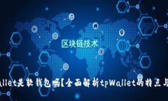 tpWallet是软钱包吗？全面解析tpWallet的特点与功能