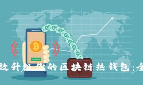 如何有效升级你的区块链热钱包：全面指南