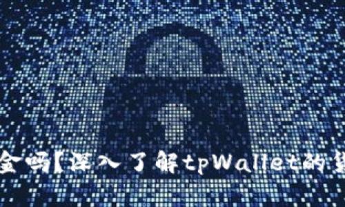 tpWallet的钱是美金吗？深入了解tpWallet的货币设置与使用模式