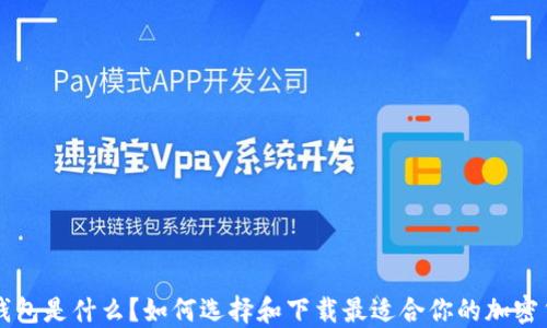 
虚拟币钱包是什么？如何选择和下载最适合你的加密货币钱包