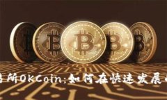 深入探讨数字货币交易所OKCoin：如何在快速发展