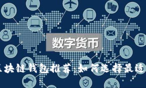 易出币的区块链钱包推荐：如何选择最适合您的钱包