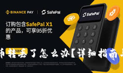 tpWallet币转丢了怎么办？详细指南与解决方案