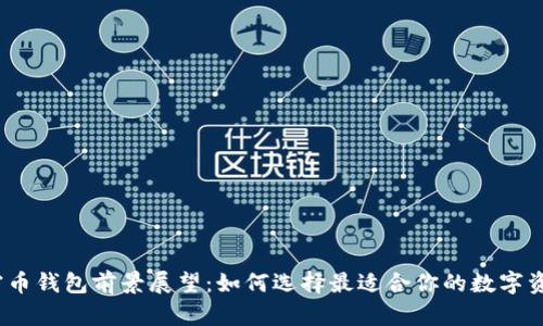 2024年加密币钱包前景展望：如何选择最适合你的数字资产存储方案