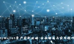 tpWallet资产获取攻略：全面