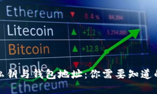 加密货币私钥与钱包地址：你需要知道的关键区别