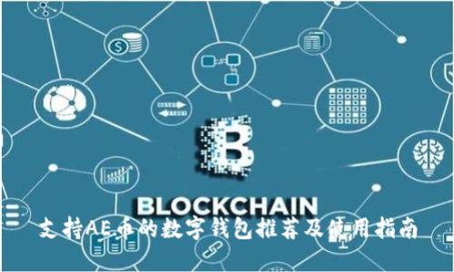 支持AE币的数字钱包推荐及使用指南