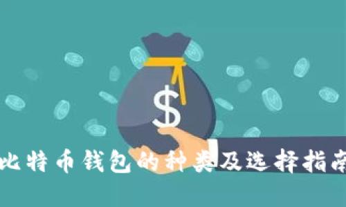 比特币钱包的种类及选择指南