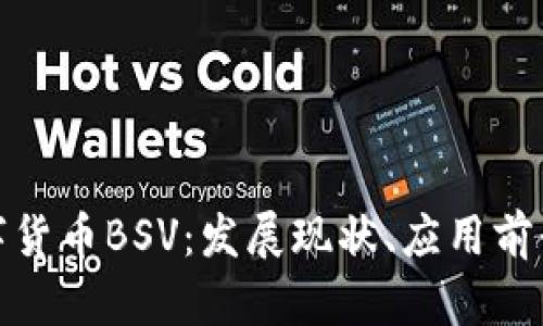 深入了解数字货币BSV：发展现状、应用前景与投资风险