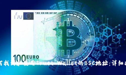 如何找到和使用Trust Wallet的BSC地址：详细指南
