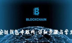 如何在币安链钱包中联网