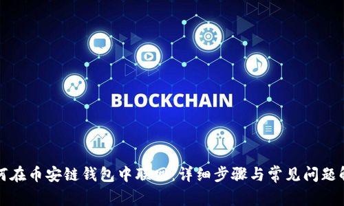 如何在币安链钱包中联网：详细步骤与常见问题解析