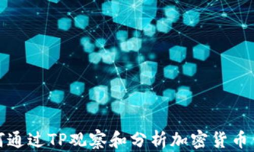 
如何通过TP观察和分析加密货币钱包