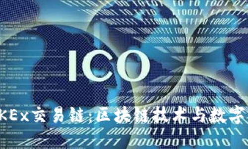 深入探索OKEx交易链：区块链技术与数字资产的未来