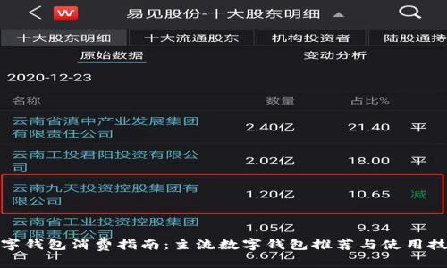 数字钱包消费指南：主流数字钱包推荐与使用技巧