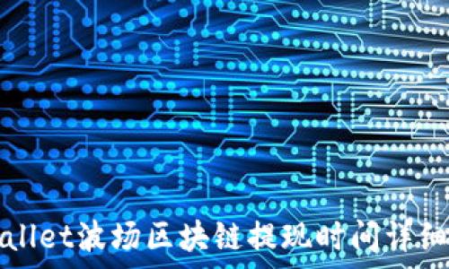   
tpWallet波场区块链提现时间详细解析