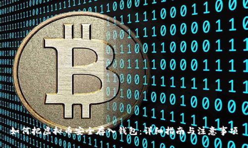 如何把虚拟币安全存入钱包：详细指南与注意事项