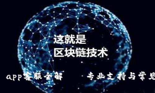 tpWallet app客服全解——专业支持与常见问题解析