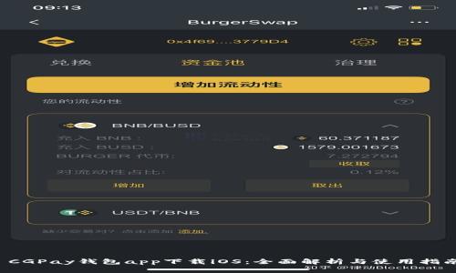  CGPay钱包app下载iOS：全面解析与使用指南