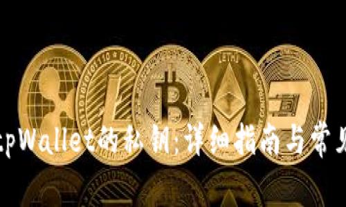 如何查看tpWallet的私钥：详细指南与常见问题解答