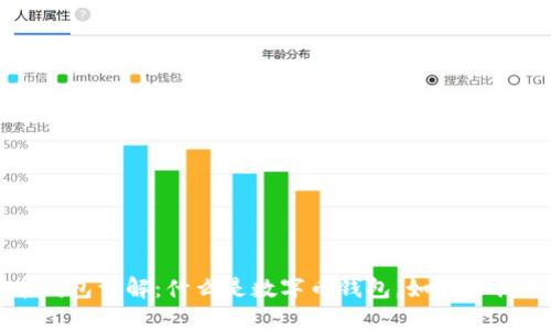 数字币钱包详解：什么是数字币钱包，如何选择和使用