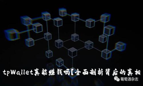 tpWallet真能赚钱吗？全面剖析背后的真相