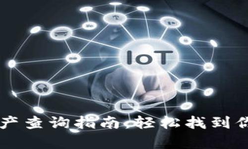 tpWallet资产查询指南：轻松找到你的数字资产