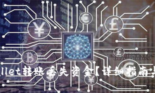 如何找回tpWallet转账丢失资金？详细指南与常见问题解答
