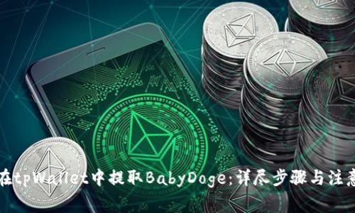 如何在tpWallet中提取BabyDoge：详尽步骤与注意事项