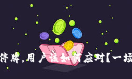 GOpay钱包突然停牌，用户该如何应对？一场数字钱包的危机