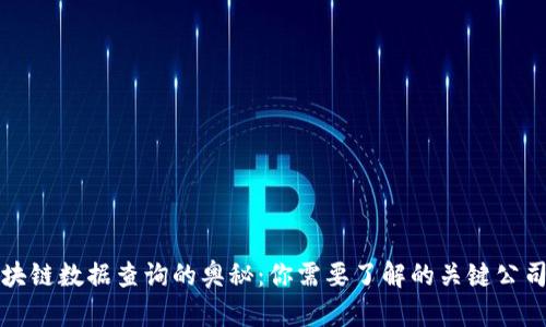 揭秘区块链数据查询的奥秘：你需要了解的关键公司和技术