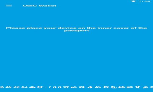 揭开中本聪的神秘面纱：100万比特币的钱包地址背后隐藏的故事