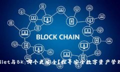 tpWallet与BK：哪个更安全？