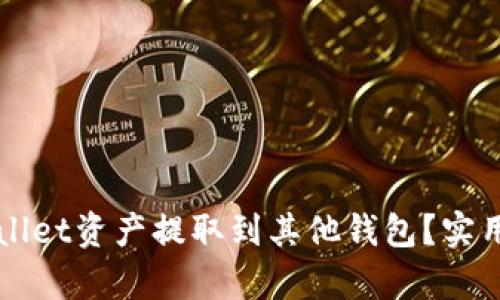 如何轻松将tpWallet资产提取到其他钱包？实用指南与技巧分享