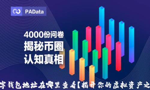 
数字钱包地址在哪里查看？揭开你的虚拟资产之谜