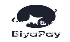 创建一个安全的SHIB钱包，