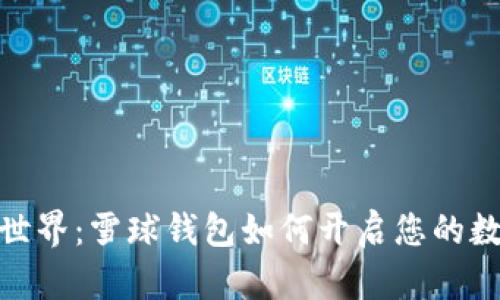 探索区块链世界：雪球钱包如何开启您的数字资产之旅