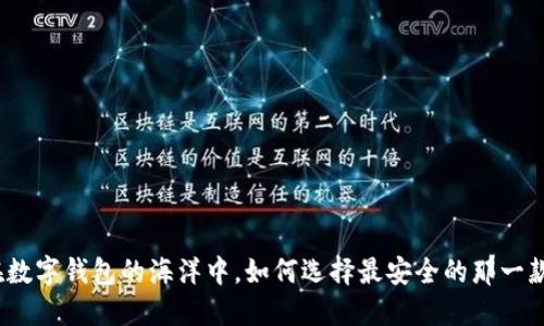 在数字钱包的海洋中，如何选择最安全的那一款？