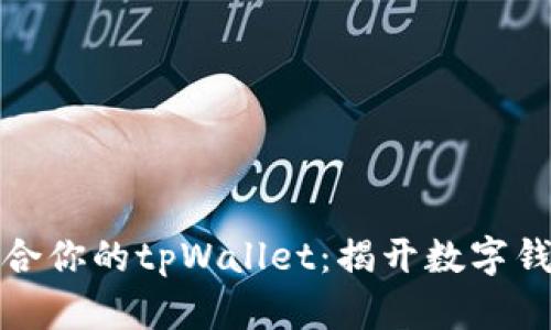 如何选择最适合你的tpWallet：揭开数字钱包的神秘面纱