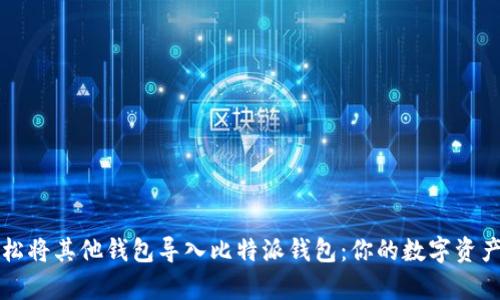 如何轻松将其他钱包导入比特派钱包：你的数字资产新篇章