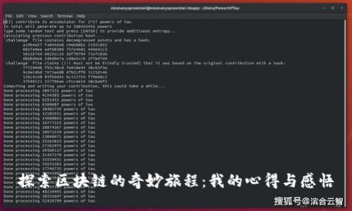 探索区块链的奇妙旅程：我的心得与感悟