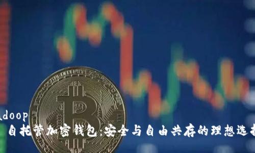 adoop
: 自托管加密钱包：安全与自由共存的理想选择