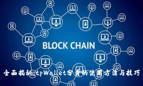 全面揭秘：tpWallet分身的使用方法与技巧