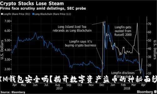 IM钱包安全吗？揭开数字资产盗币的神秘面纱