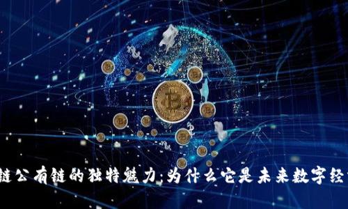 揭秘区块链公有链的独特魅力：为什么它是未来数字经济的基石？