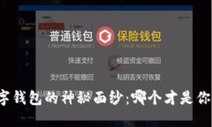 揭开虚拟数字钱包的神秘