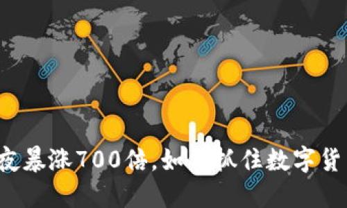 狗狗币一夜暴涨700倍，如何抓住数字货币的风口？