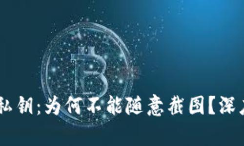 了解tpWallet私钥：为何不能随意截图？深度剖析安全隐患