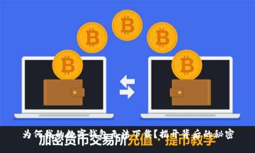 为何我的数字钱包无法下载？揭开背后的秘密